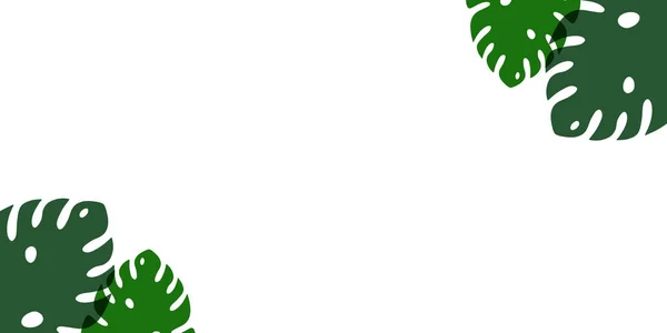 Абстрактный Зеленый Фон Листьев Рисунком — стоковое фото