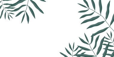 Yaprak arka plan palmiye yaprağı desenli yaz arka planı