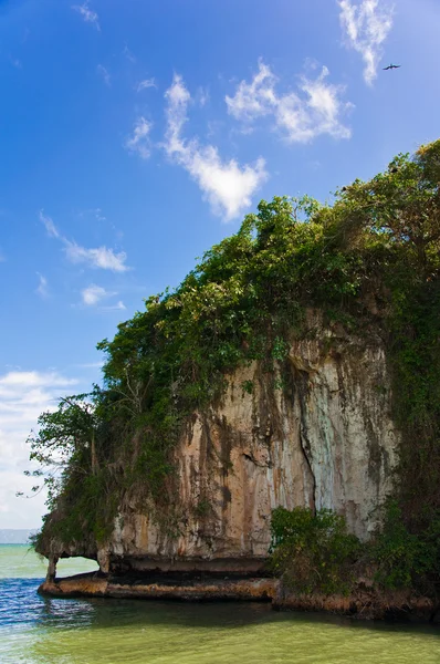 Parque Nacional Los Haitises, República Dominicana Imagen De Stock