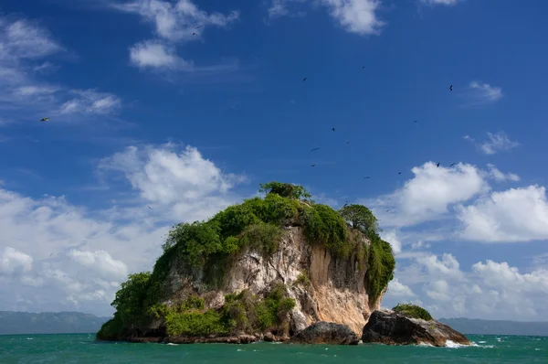 Parco Nazionale di Los Haitises, Repubblica Dominicana Foto Stock