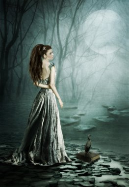 lunar dreamers