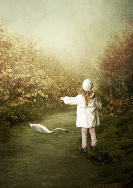 Little girl feeds the swan — Stock Photo, Image