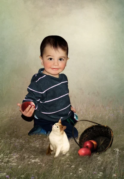El niño y las manzanas y el gato —  Fotos de Stock