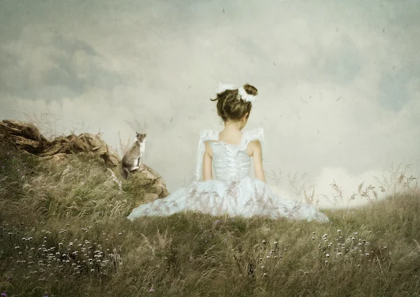 Girl and cat sitting in the field — Stock Photo, Image