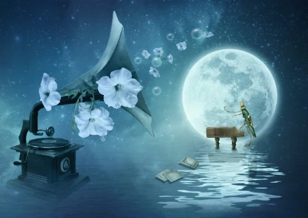 Moonlight sonata — Zdjęcie stockowe