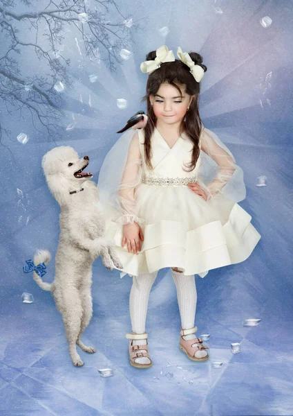 Mała Dziewczynka Pięknej Białej Sukience Patrzy Pudla Zimowym Abstrakcyjnym Tle — Zdjęcie stockowe