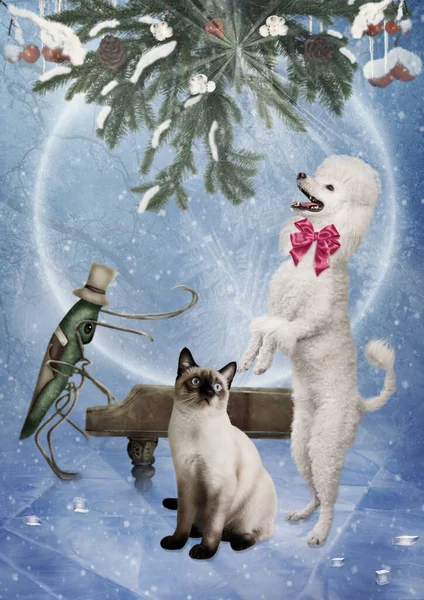 Siamese Cat Poodle Cricket Winter Forest Musical Performance — Stock Photo, Image