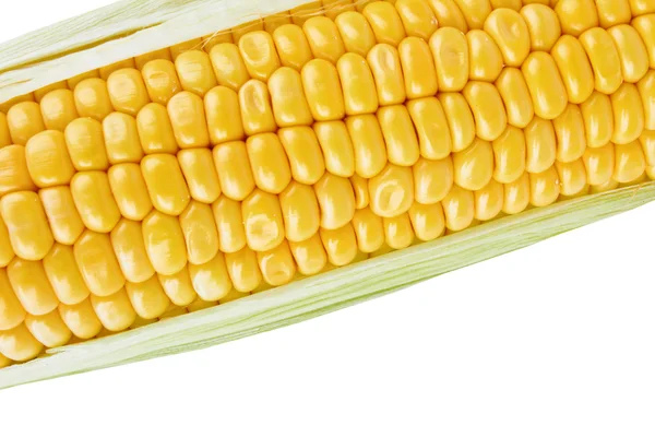 Csöves kukorica — Stock Fotó
