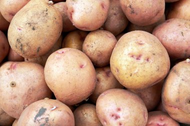 patates