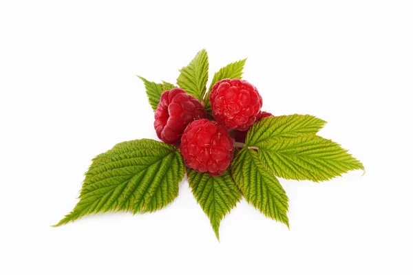 Sweet raspberry — Stock Photo, Image