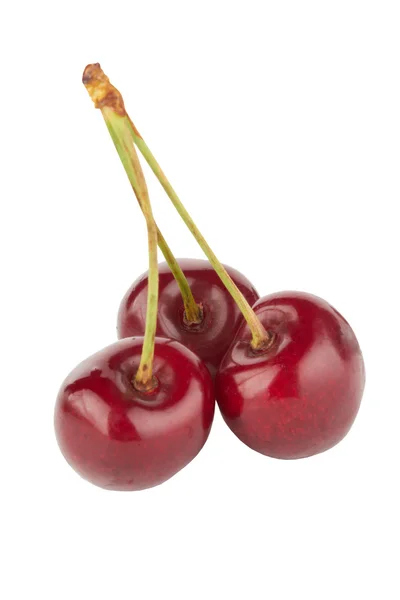 Une branche de trois cerises — Photo