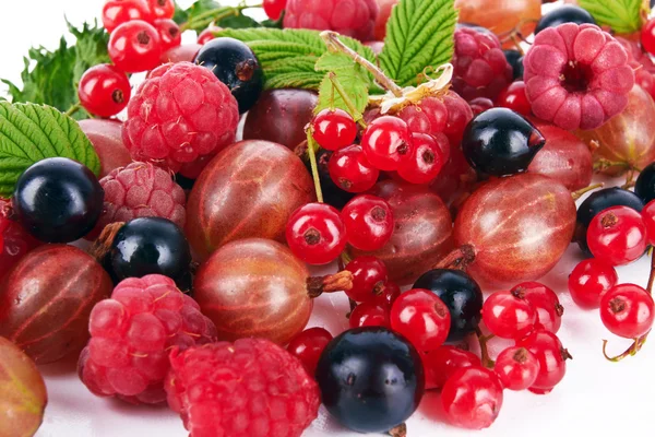 Beeren — Stockfoto