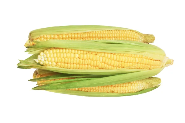The corn — Stock Photo, Image