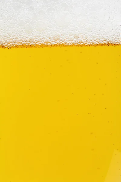 Egy korsó sör. — Stock Fotó