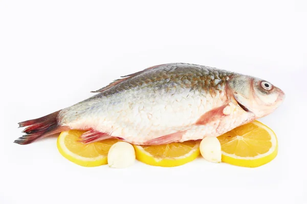 Limonlu çiğ balık — Stok fotoğraf