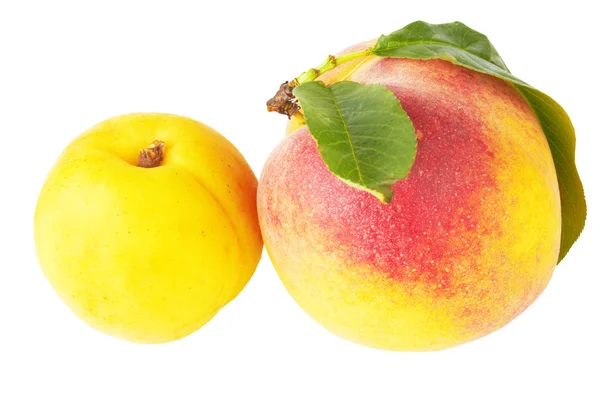 Peach and apricot — Stock Photo, Image