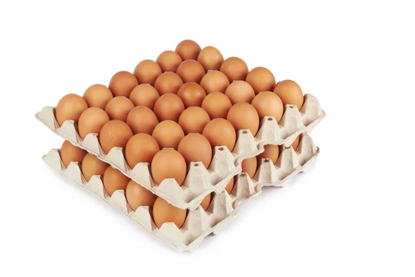 Яйця в патерні — стокове фото