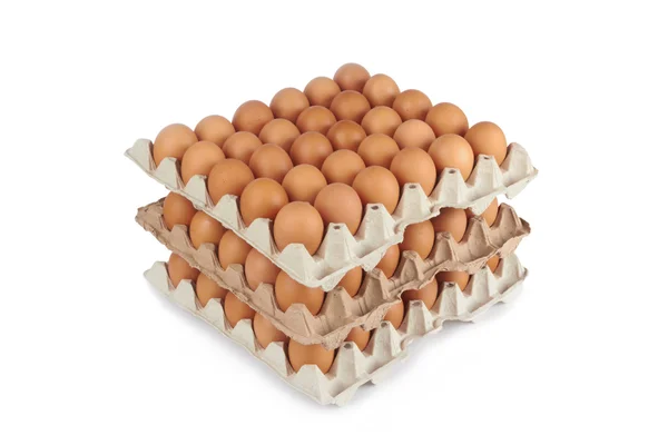 Яйца в лотке для патера — стоковое фото