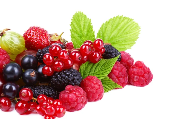 Berries — Stock Photo, Image