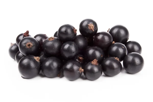 Currant — Stock Photo, Image