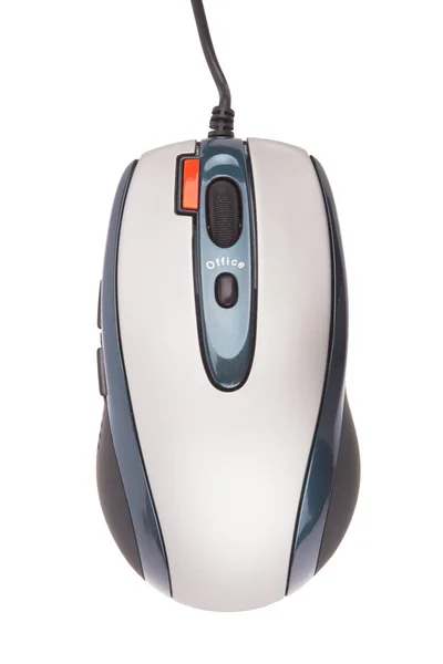 Computer mouse — Stock Photo, Image