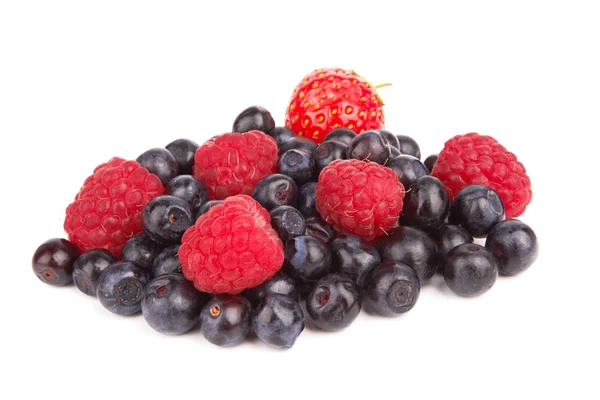 Beeren — Stockfoto