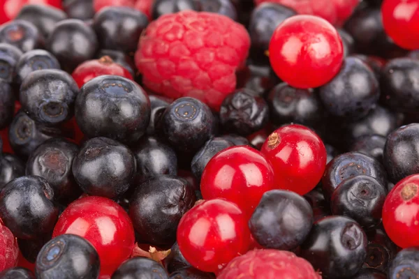 Beeren — Stockfoto