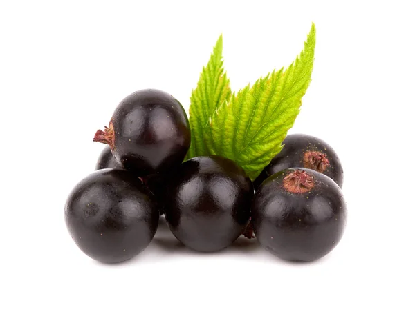 Black currants — Stock Photo, Image