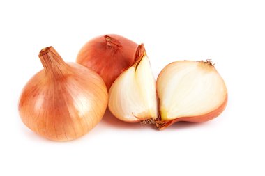 Soğan