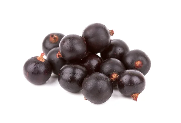 Black currant — Stock Photo, Image