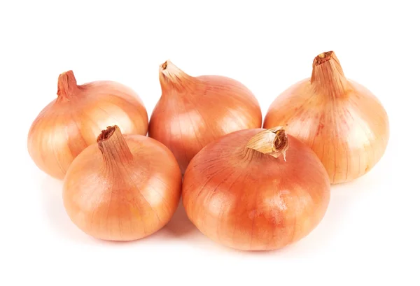 Onion — Stock Photo, Image