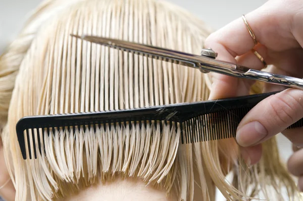 Hairstylist combing hair — Stock Photo, Image