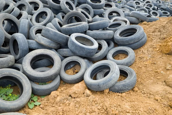 Environmental damage — Stock Photo, Image