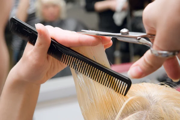 Schere schneidet Haare — Stockfoto