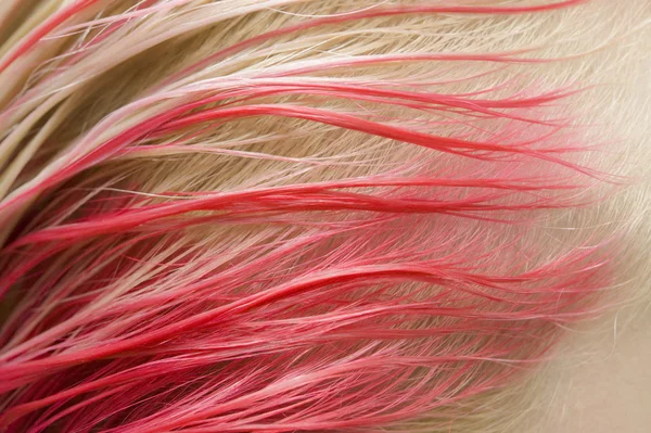 Red color of hair — Stock Photo, Image