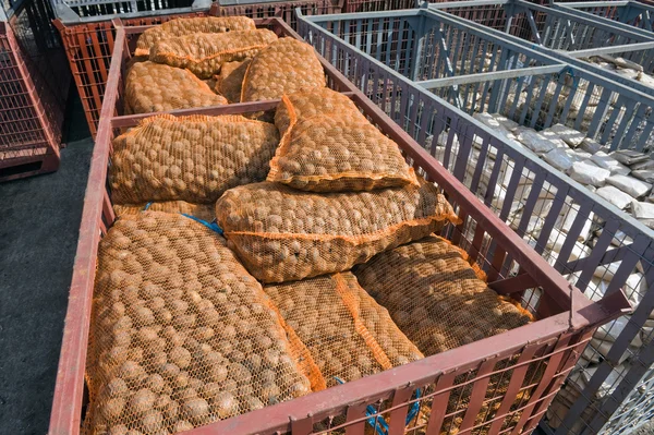 Potatis väskor i behållare — Stockfoto