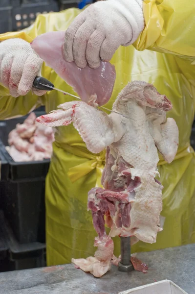 Filetto di pollo — Foto Stock