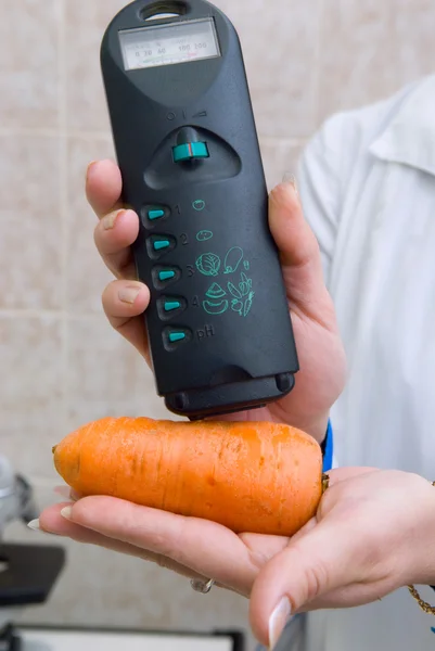 Controlo sanitário dos géneros alimentícios — Fotografia de Stock