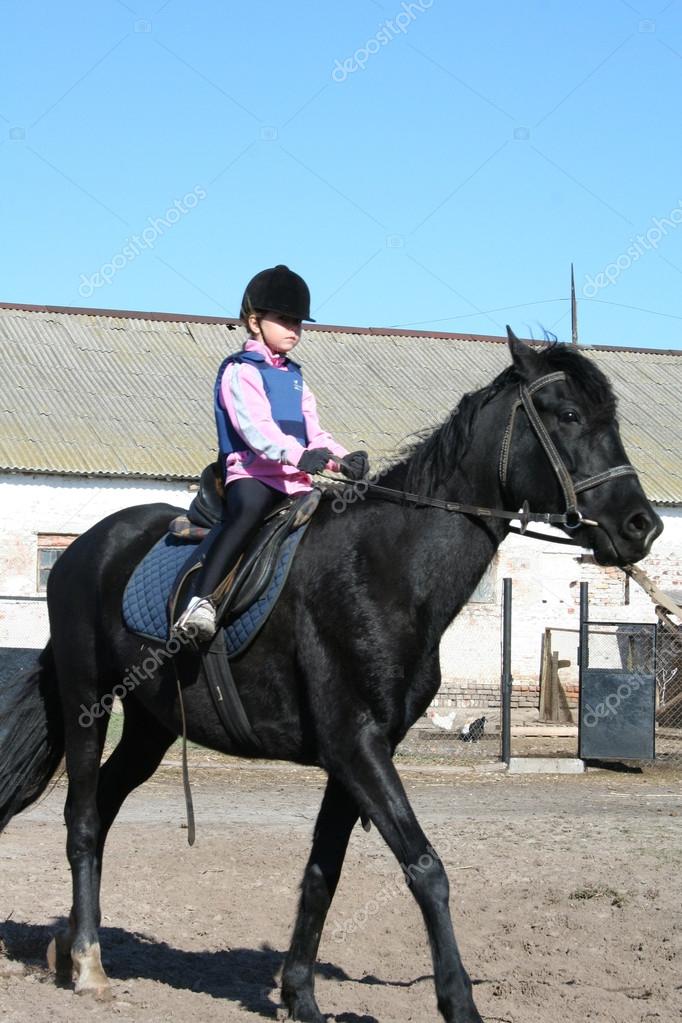 Малый Конный Спорт Стоковое Фото ©alexjstas64 18260991