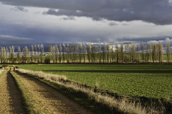 Rural road Royalty Free Stock Images