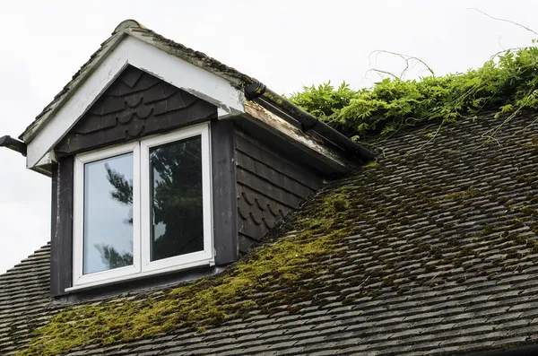 Finestra coperta di muschio del dormer del tetto e fiocco — Foto Stock