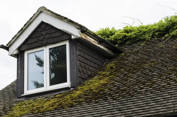 Moss cubierta de techo y escamosa ventana Dormer Fotos de stock