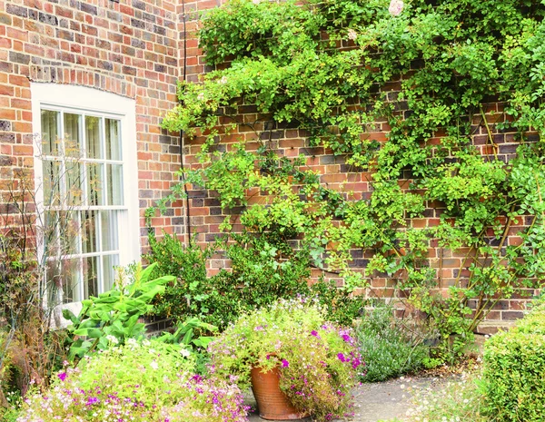 Engelse tuin — Stockfoto