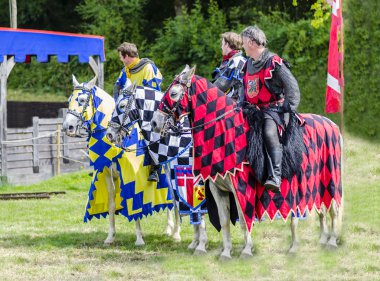 ata üç tudor knights