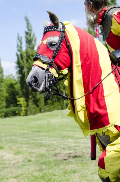 Tudor Knight Waiting — Stock Photo, Image