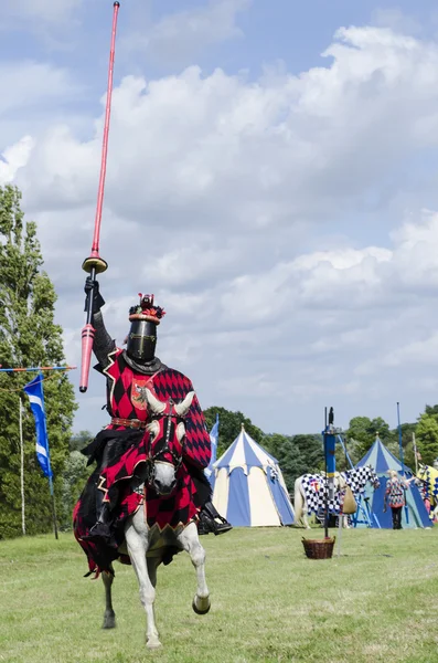 Tudor ridder opladen Stockafbeelding