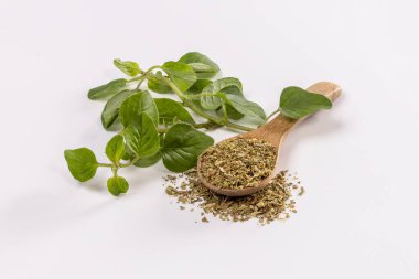 Beyaz arka planda taze kekik filizi ve kuru kekik baharatı izole edilmiş.