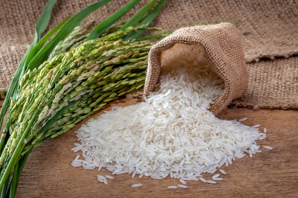 Jasmine rice in sacks and ears of rice on wooden background