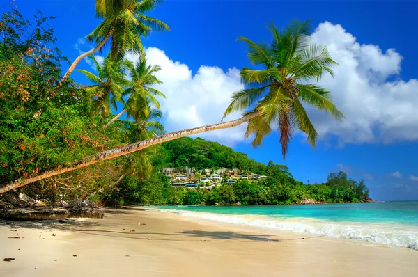 Seychelles - vacances paradisiaques — Photo