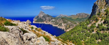 Mallorca nature clipart